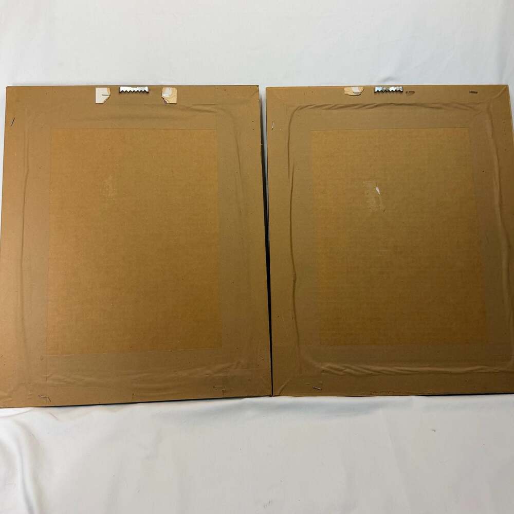 Vintage L. David French Bird Cage Botanical Prints, Distressed Green Frames (2) - Picture 2 of 10